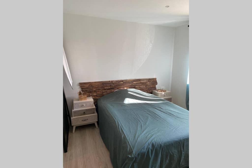 Bel appartement 8 personnes à Saint Chaffrey Esterno foto